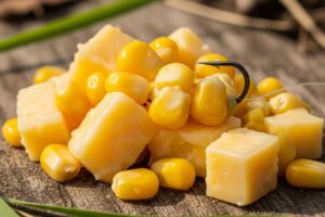 iscas naturais para sua pescaria